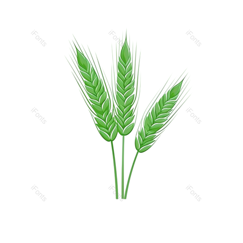 芒种图片,元素元素,麦子PNG,丰收免抠素材